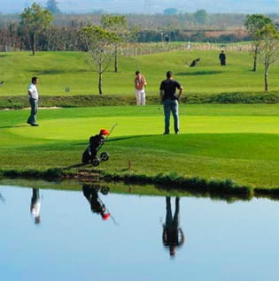Golf (Pitch&Putt Bellpuig)